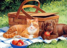 猫咪和它的小伙伴手绘图片