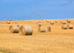 卷成圆形的干草图片