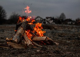 用木材烧的火堆图片