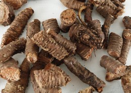 补气清肺红景天药材图片大全