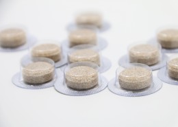 中药地龙片图片大全