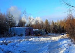 采伐场地图片大全