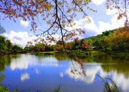 清迈自然风景图片