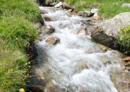 湍急的溪流图片