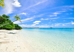 美丽的海滩图片