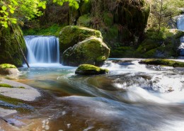 涓涓流淌的溪水图片