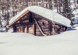 洁白无瑕的雪景图片大全