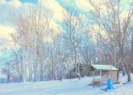 郊外的美丽雪景图片