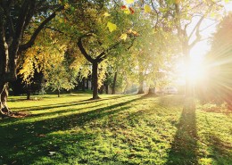 唯美的阳光图片