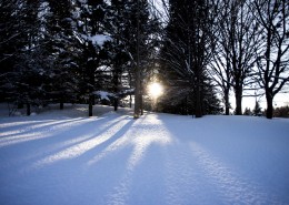 美丽的雪景图片大全