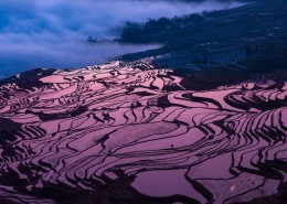 壮观的梯田风光图片