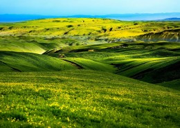 春天的草原风景图片