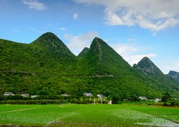 田园风景图片大全