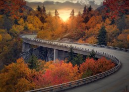 道路两旁的风景图片大全