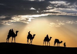 荒漠骆驼人物行走图片