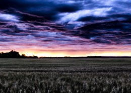 风暴之前的天空图片