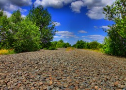早晨的田野风景图片