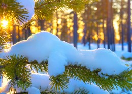唯美雪景冬季风景图片