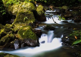 清澈的溪流图片