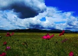 风雨前的天空乌云图片