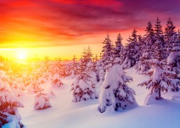 唯美雪景图片