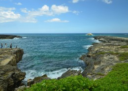 夏威夷海岸风景图片