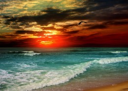 灿烂朝霞风景图片