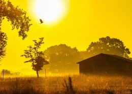 简约的乡村风景图片