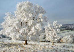 唯美的冬季雪景图片大全