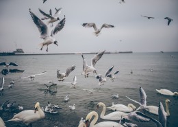 海边的风景图片