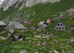 山上的小屋图片