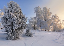 冬季大雪覆盖的风景图片大全