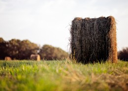 草垛子风光图片