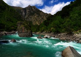 尼洋河风景图片