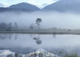 朦胧湖面倒影图片大全