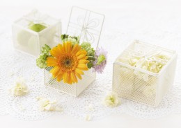 夏季花朵素材图片