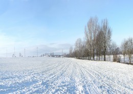 冬日雪景图片
