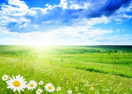 清新大自然图片