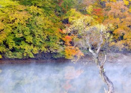 云雾缭绕风景图片