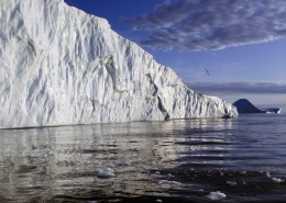 北极冰山图片大全