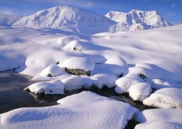 浪漫雪景图片