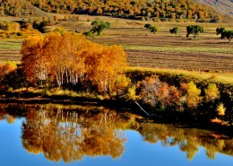 河北张家口坝上唯美秋景图片