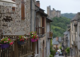 法国纳雅克古镇风景图片