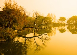 浙江杭州西湖风景图片
