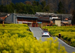 云南腾冲田园风景图片大全