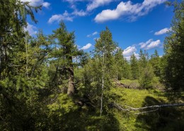 内蒙古阿尔山三潭峡风景图片