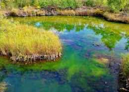 五大连池温泊风景图片