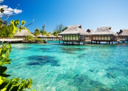 马尔代夫海边风景图片