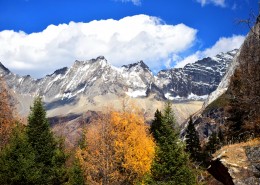 四川四姑娘山风景图片