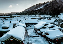 哈尔滨雪乡风景图片